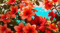 color schemes and relationships
