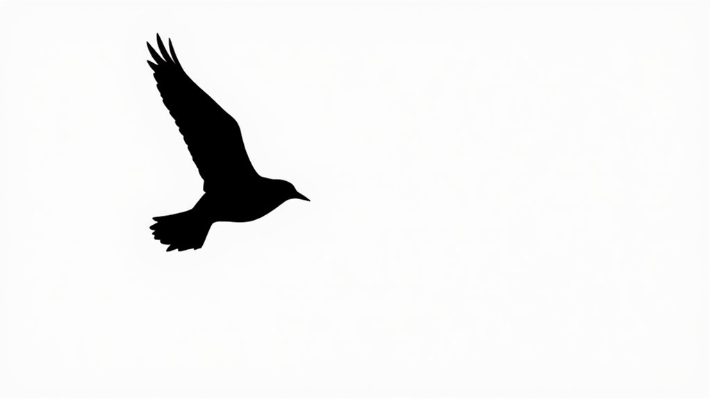 effective negative space usage