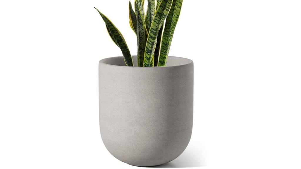 10 inch plant pot