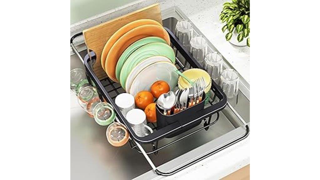 adjustable in sink drying rack