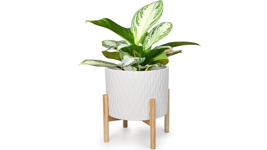 ceramic 10 inch plant pot