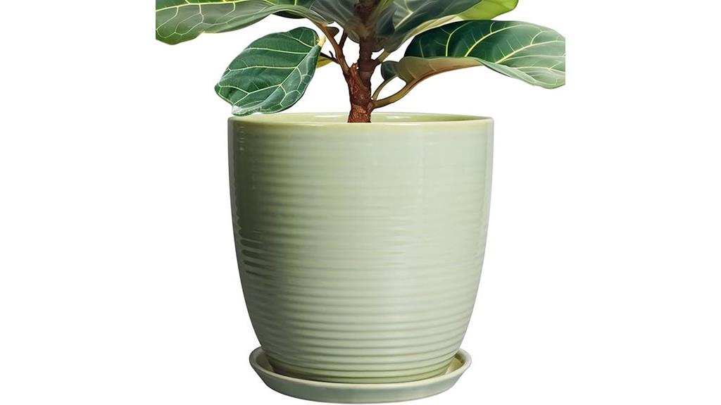 ceramic plant pot set