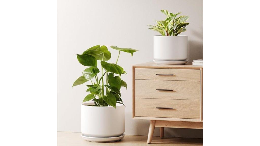 ceramic plant pots set