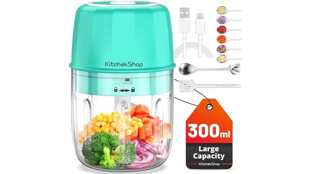 cordless stainless mini chopper