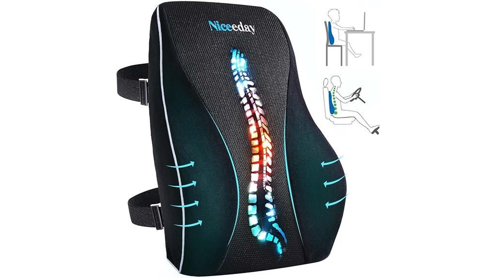 ergonomic lumbar support pillow