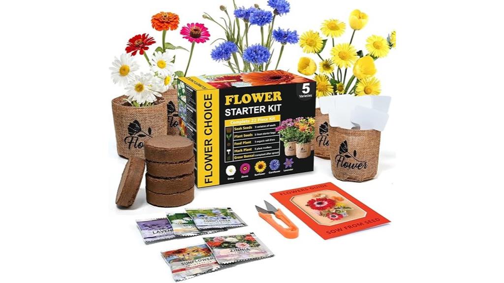 indoor daisy garden kit