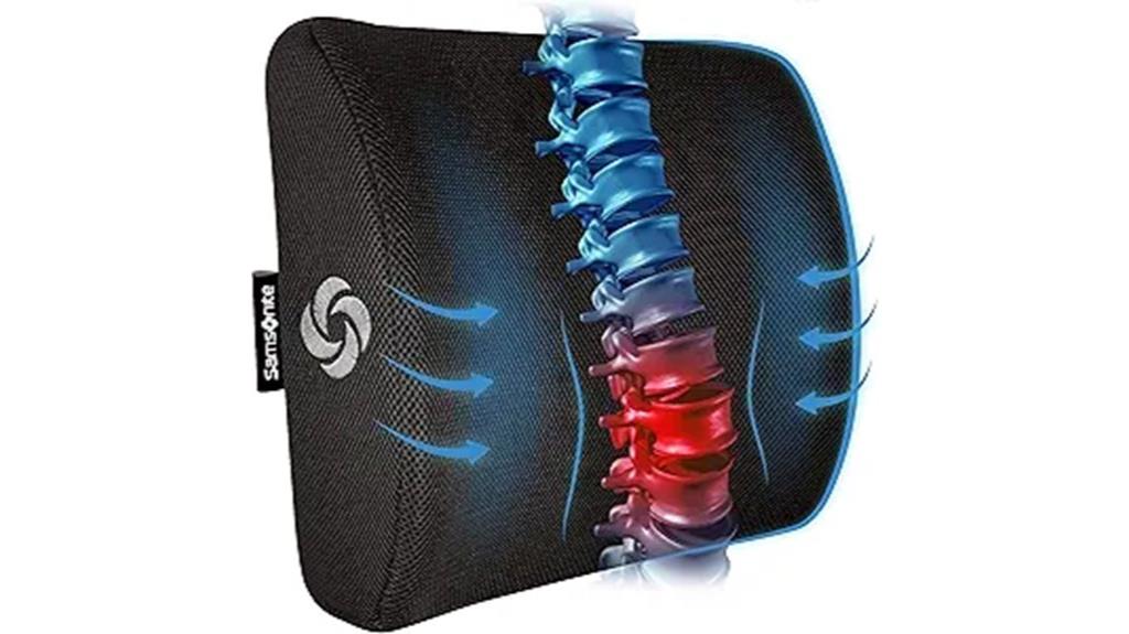 lumbar support cushion