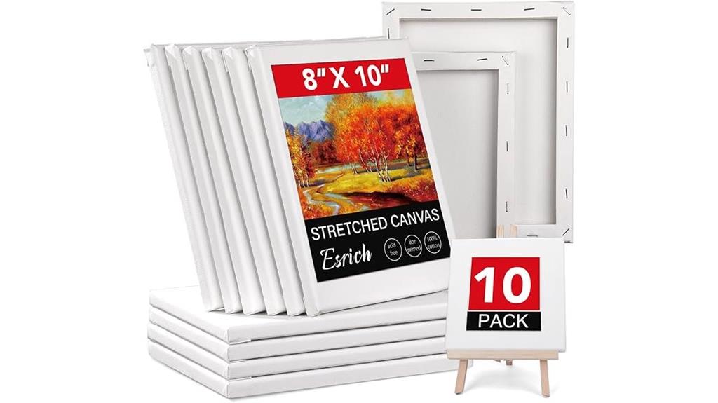 pack of ten canvases