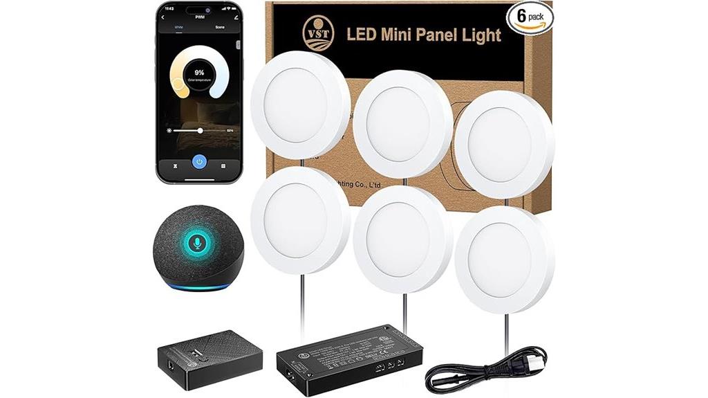 six pack 12v puck lights