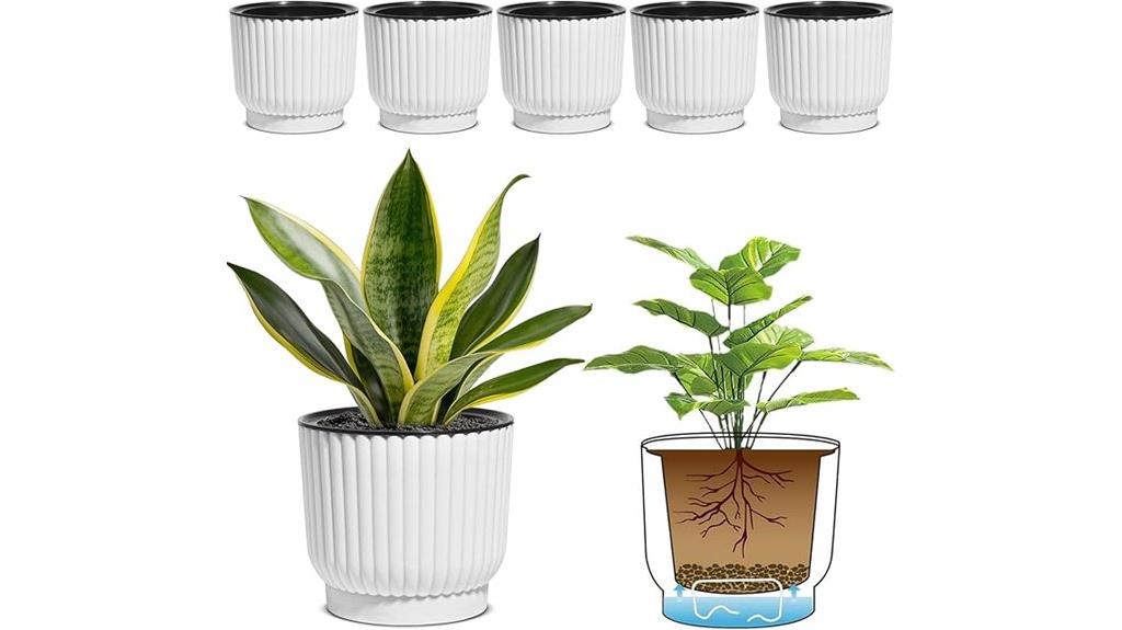 six pack self watering pots