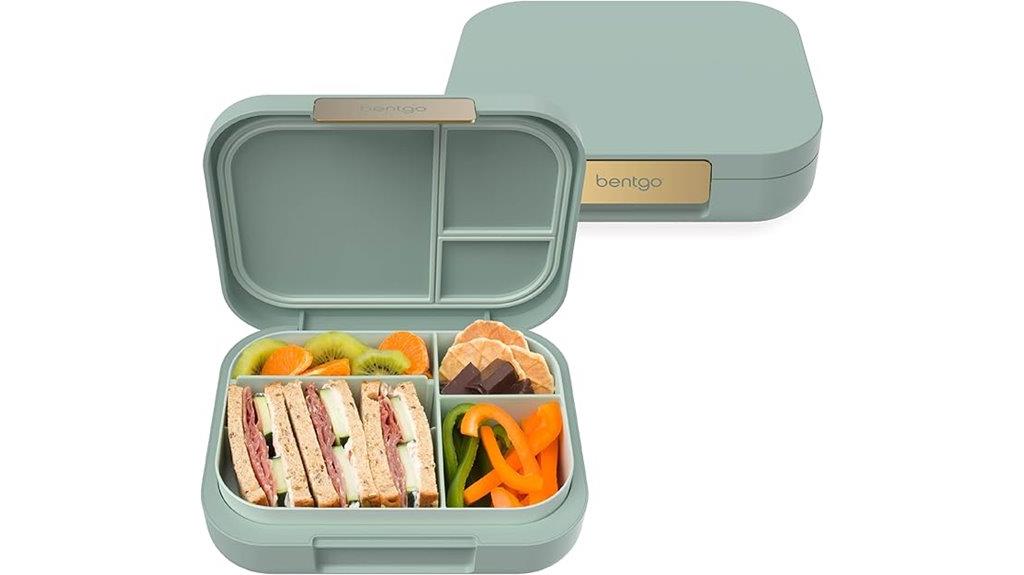 stylish adult bento box
