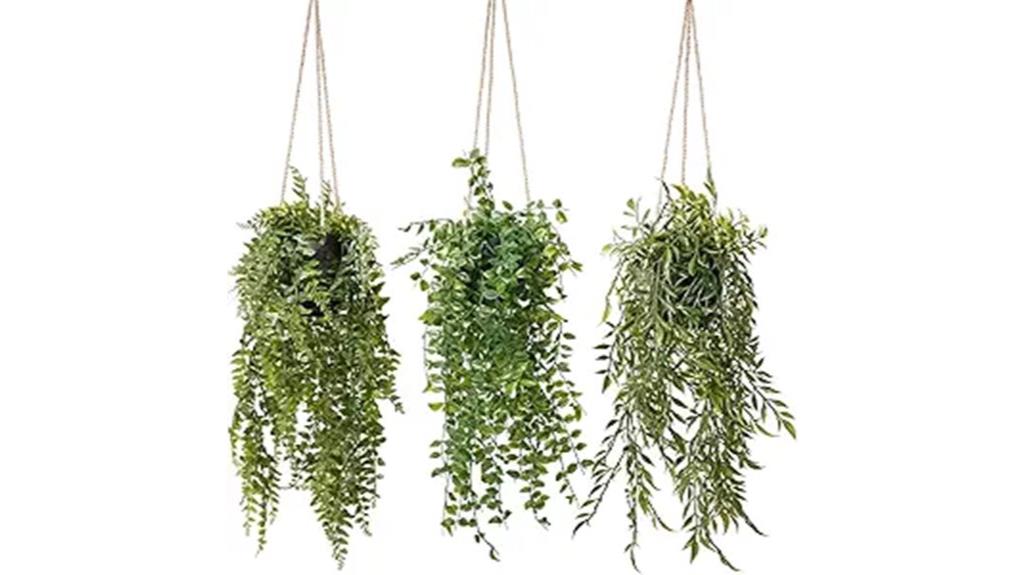three pack hanging plants