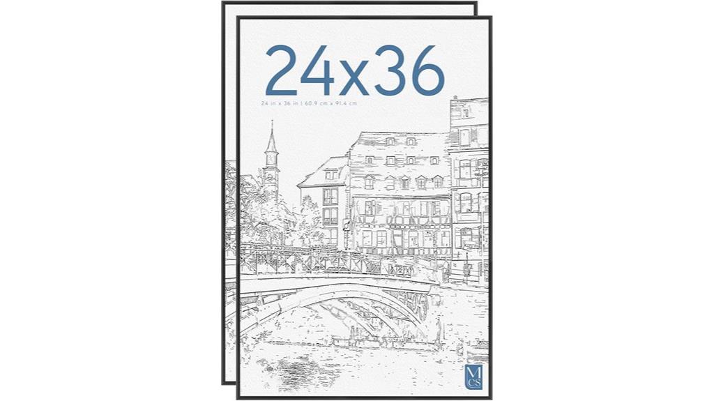 two 24x36 poster frames