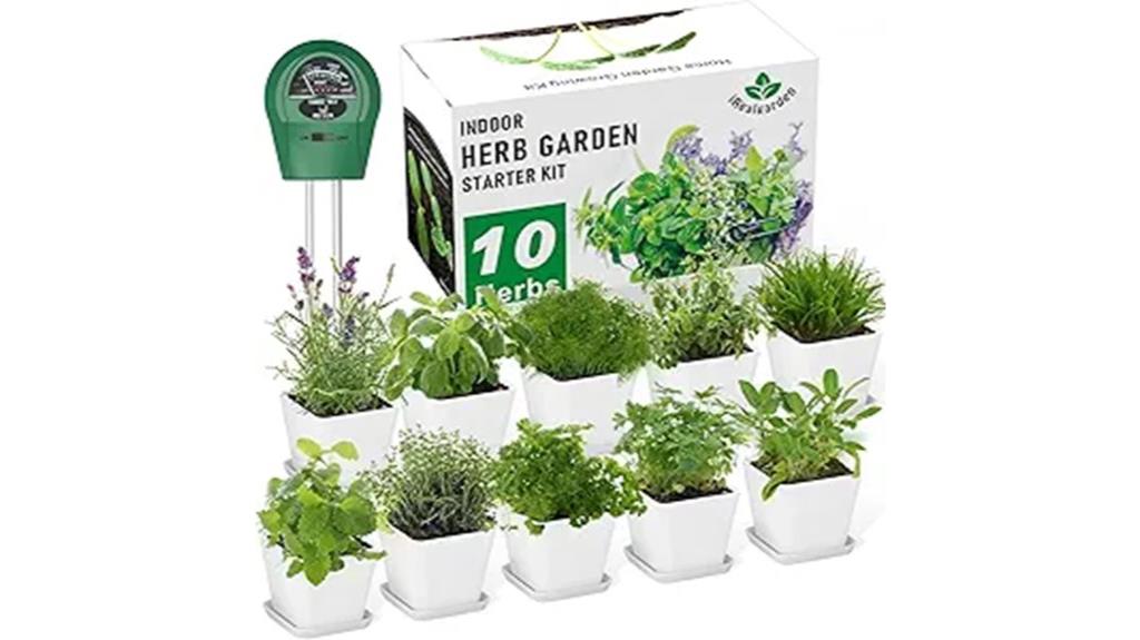 windowsill herb gardening kit
