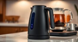top electric kettles with precise temperature