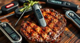 top grilling meat thermometers