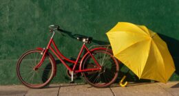 importance of color contrast