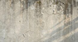 limitations of contrast theory