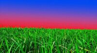 managing color intensity levels