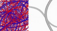 precision consistency adaptability foresight