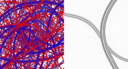 precision consistency adaptability foresight