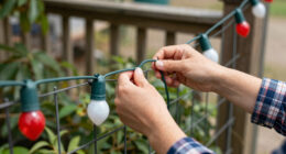 12 Best Patriotic Outdoor String Lights in 2026