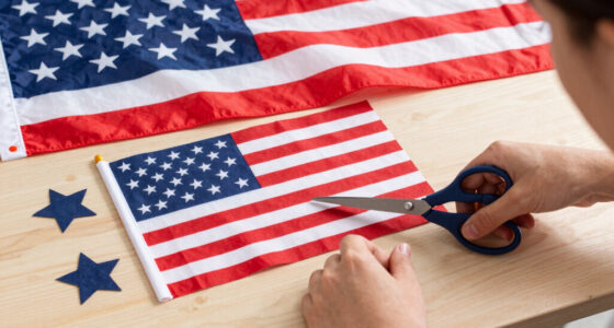 8 Best Patriotic American Flag Decor in 2026