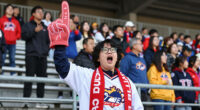9 Best Soccer Fan Apparel in 2026