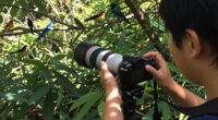 Avian Beauties And Rarities Top The 2026 Audubon Photography Awards