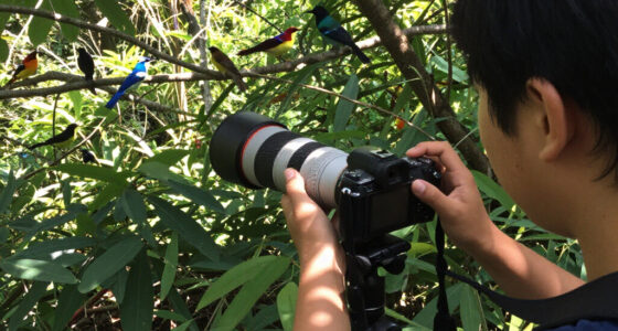 Avian Beauties And Rarities Top The 2026 Audubon Photography Awards