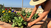 Toulon: Very Sunny Weather Expected Wednesday