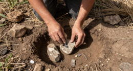Diaries Of A Primitive Man