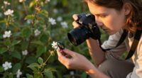 Photographer Elizaveta Porodina Turns Her Luminous Lens To Insects